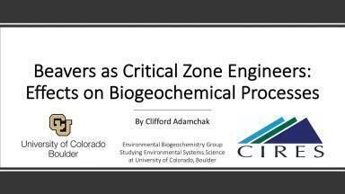 Beavers as Critical Zone Engineers: Effects on Biogeochemical Processes